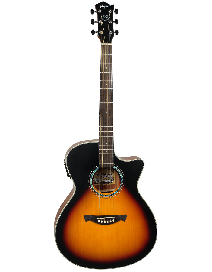 Violão Elétrico Tagima Tw-29 Aço